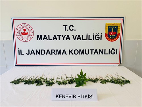 JANDARMADAN NARKOTİK OPERASYONU